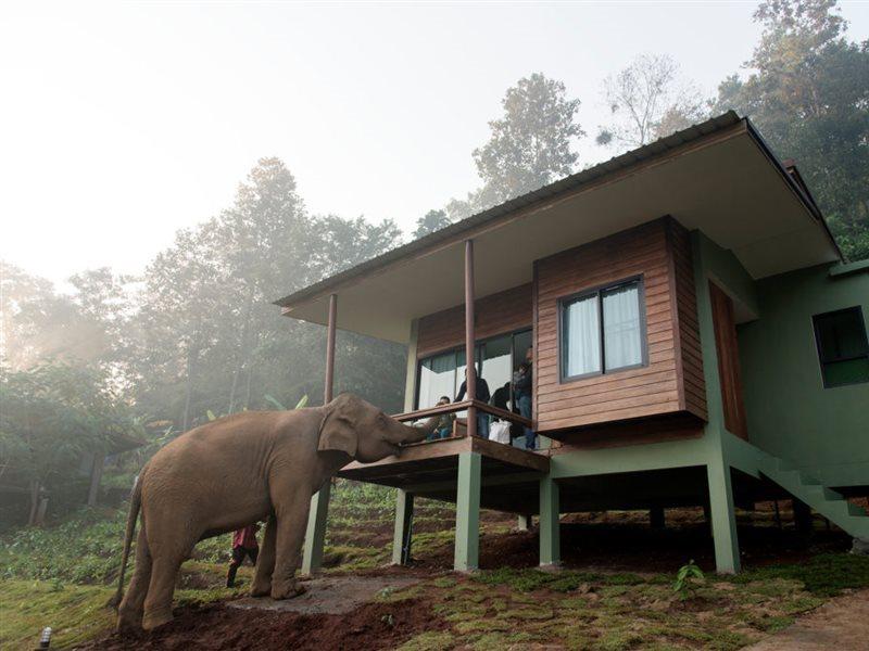 Chiang Mai Elephant Friends Buitenkant foto